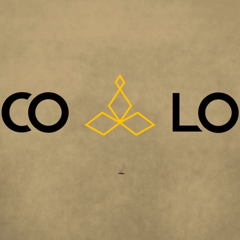COLO animated brand series — logo reveal